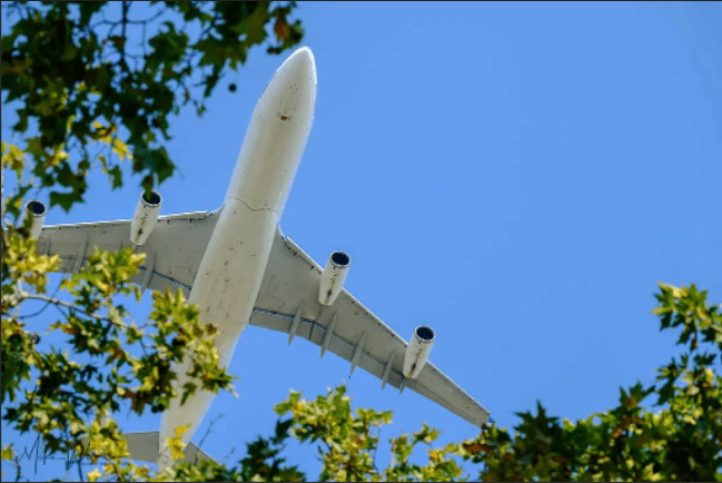 Planes, Trains, and&nbsp;Automobiles